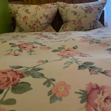 Stebuklas Apartment